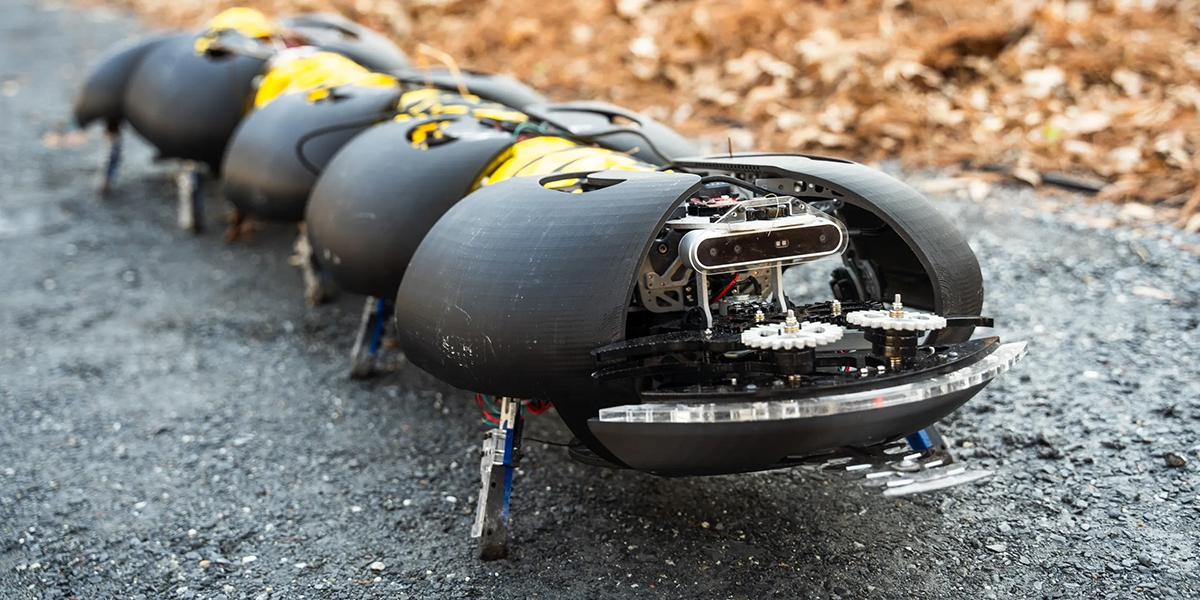 Millepiedi robotico, il futuro del diserbo in vigneti e frutteti